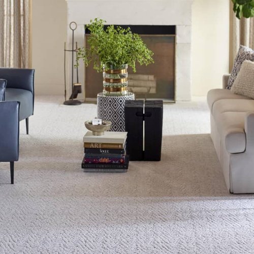 Living Room Pattern Carpet - Darrow's Carpets in Stanwood, WA