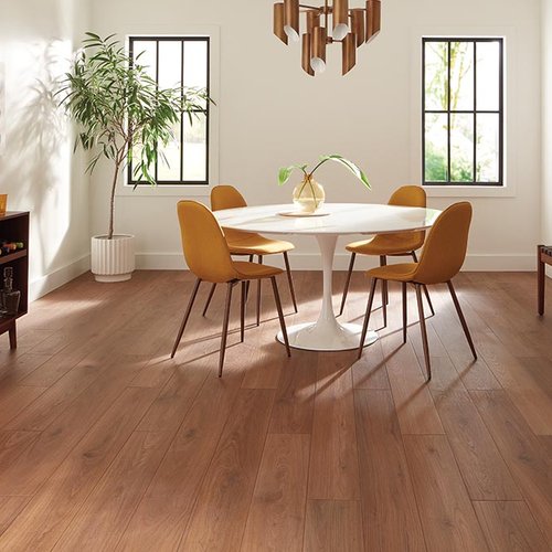 Dining Room Luxury Vinyl Plank LVP -  Darrow's Carpets in Stanwood, WA