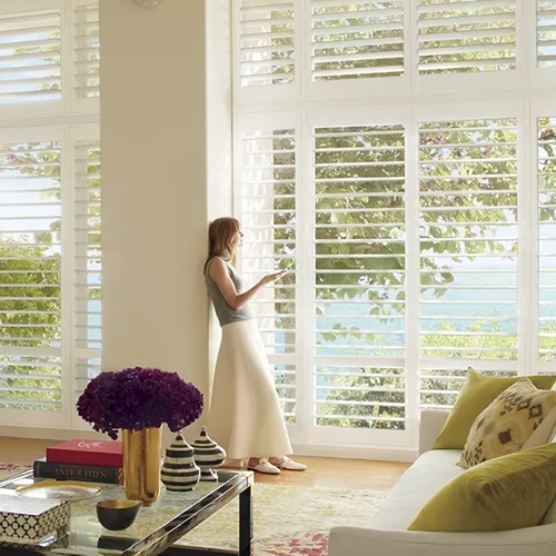 Hunter Douglas products offered by Darrow's Carpets